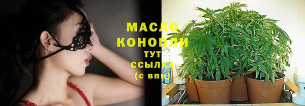 ГАЛЛЮЦИНОГЕННЫЕ ГРИБЫ Балахна