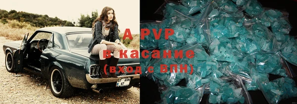 ГАЛЛЮЦИНОГЕННЫЕ ГРИБЫ Балахна