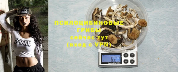мдпв Белокуриха