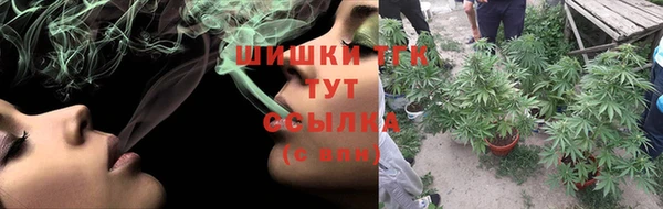 ГАЛЛЮЦИНОГЕННЫЕ ГРИБЫ Балахна