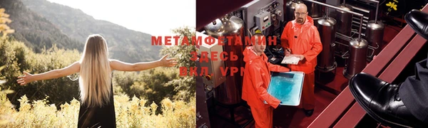 ГАЛЛЮЦИНОГЕННЫЕ ГРИБЫ Балахна